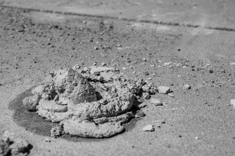 Concrete Curing in Spring